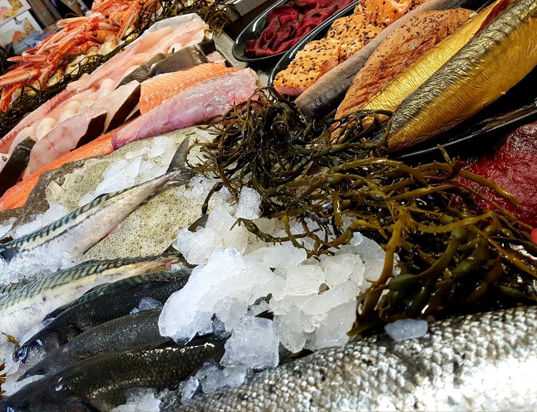 Fiskedisk